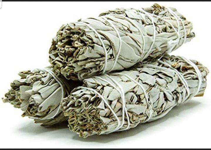 White Mountain Sage - Afrikan Djeli Wholesale